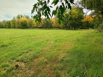 LOTE DE CHACRA EN VENTA EN GENERAL RODRIGUEZ