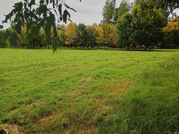 LOTE DE CHACRA EN VENTA EN GENERAL RODRIGUEZ