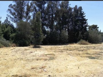 Sitio en Venta en Terreno / Panamericana Sur Km 215