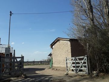 FINCA 2,6 HAS. DE MALBEC CON TELA