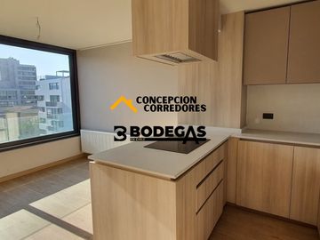 DEPARTAMENTO DUPLEX 2D+3B PROVIDENCIA - METRO FCO BILBAO