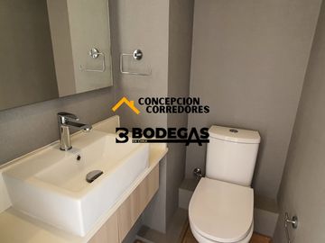 DEPARTAMENTO DUPLEX 2D+3B PROVIDENCIA - METRO FCO BILBAO