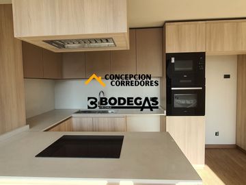 DEPARTAMENTO DUPLEX 2D+3B PROVIDENCIA - METRO FCO BILBAO