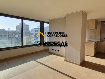 DEPARTAMENTO DUPLEX 2D+3B PROVIDENCIA - METRO FCO BILBAO
