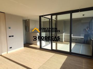 DEPARTAMENTO DUPLEX 2D+3B PROVIDENCIA - METRO FCO BILBAO