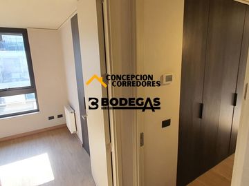 DEPARTAMENTO DUPLEX 2D+3B PROVIDENCIA - METRO FCO BILBAO