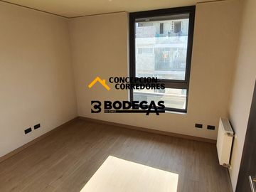 DEPARTAMENTO DUPLEX 2D+3B PROVIDENCIA - METRO FCO BILBAO