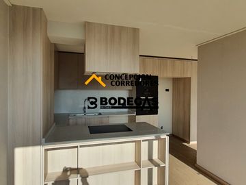 DEPARTAMENTO DUPLEX 2D+3B PROVIDENCIA - METRO FCO BILBAO