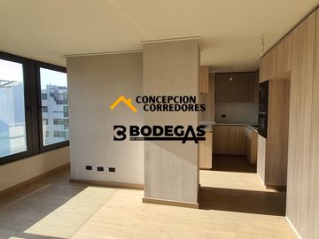 DEPARTAMENTO DUPLEX 2D+3B PROVIDENCIA - METRO FCO BILBAO