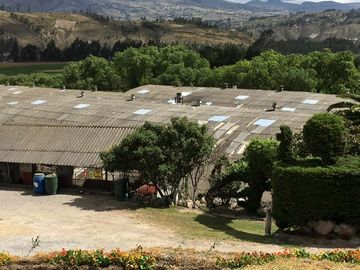 GALPONES Y TERRENO EN VENTA. PROPIEDAD INDUSTRIAL