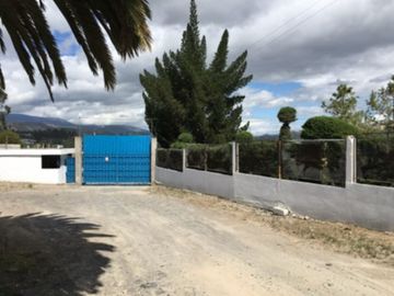 GALPONES Y TERRENO EN VENTA. PROPIEDAD INDUSTRIAL