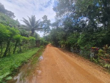 Venta Hostal Turística en Puerto Quito, 3 hectáreas