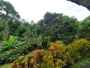 Venta Hostal Turística en Puerto Quito, 3 hectáreas