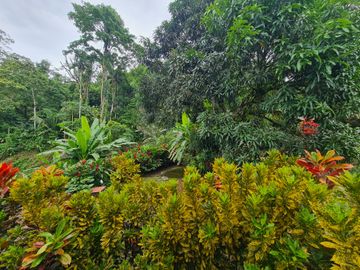 Venta Hostal Turística en Puerto Quito, 3 hectáreas
