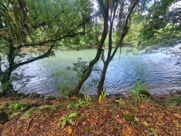 Venta Hostal Turística en Puerto Quito, 3 hectáreas