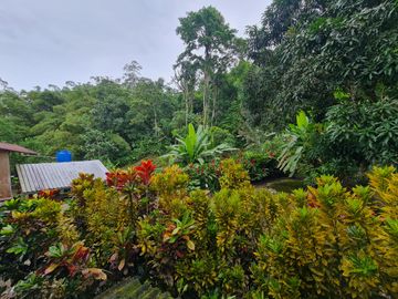 Venta Hostal Turística en Puerto Quito, 3 hectáreas