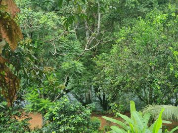 Venta Hostal Turística en Puerto Quito, 3 hectáreas