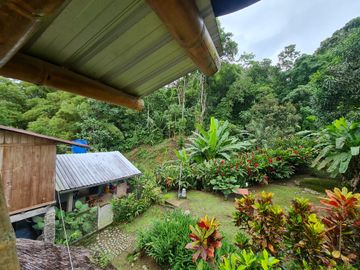 Venta Hostal Turística en Puerto Quito, 3 hectáreas