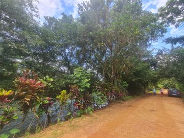 Venta Hostal Turística en Puerto Quito, 3 hectáreas