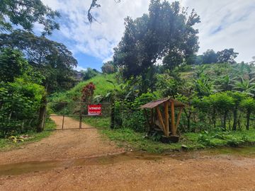 Venta Hostal Turística en Puerto Quito, 3 hectáreas