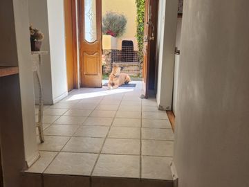 Casa en Av Toluca Residenical Camelinas 4 habitaciones 3 1/2 banos, jardin, 2 autos, seguridad