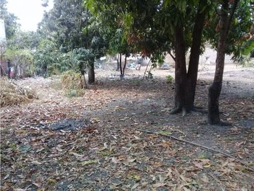 EXTENSO TERRENO EN SAN JOSE TERAN