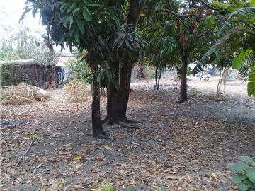 EXTENSO TERRENO EN SAN JOSE TERAN