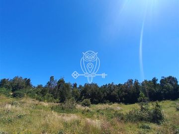 Parcela en Venta en Camino a puntilla , Ilque