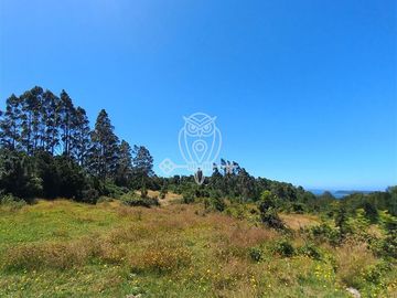 Parcela en Venta en Camino a puntilla , Ilque