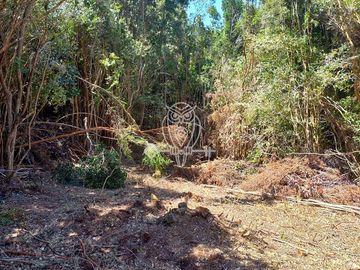 Parcela en Venta en Camino a puntilla , Ilque