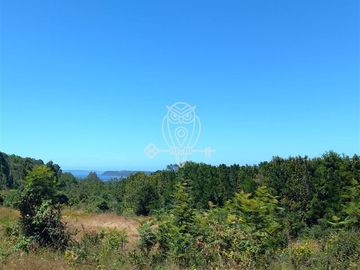Parcela en Venta en Camino a puntilla , Ilque