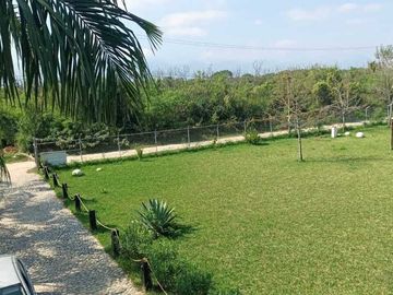 Quinta 