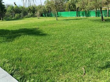 Quinta 