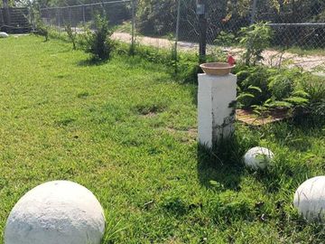 Quinta 