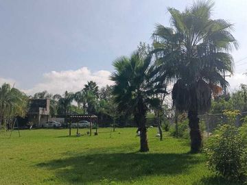 Quinta 