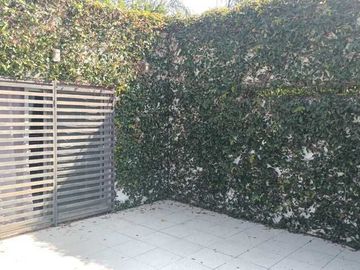 Quinta 