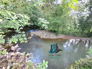 VENDO CASA BORDEADO POR UN RIO- BOQUERON