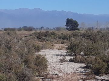Terreno en venta en El Algarrobal, Las Heras