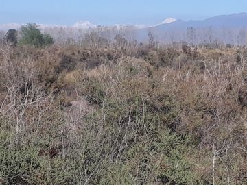 Terreno en venta en El Algarrobal, Las Heras