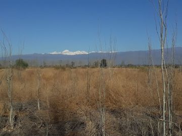 Terreno en venta en El Algarrobal, Las Heras