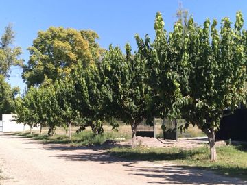 Venta lote Chacras de Coria Lujan Mendoza