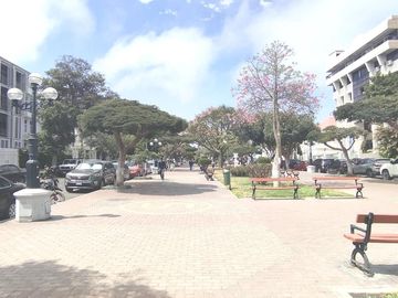 VENTA AMPLIA CASA 226 M2 BARRANCO