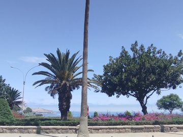 VENTA AMPLIA CASA 226 M2 BARRANCO