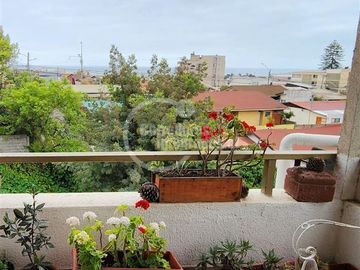 Departamento en Venta en Quinta Vergara
