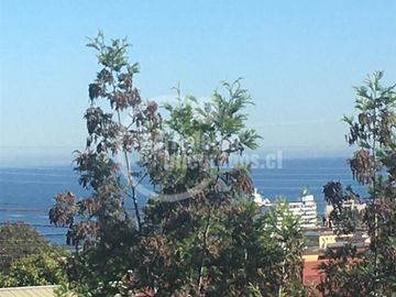 Departamento en Venta en Quinta Vergara