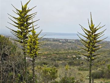 Casa en Venta en Condominio Rocas del Mar. Los Molles