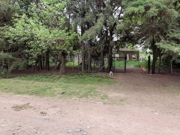 VENTA TERRENO 31.730 m2 GRAL. ROD. R. 24 KM 7.5
