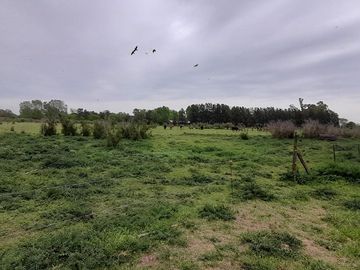 VENTA TERRENO 31.730 m2 GRAL. ROD. R. 24 KM 7.5