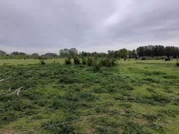 VENTA TERRENO 31.730 m2 GRAL. ROD. R. 24 KM 7.5