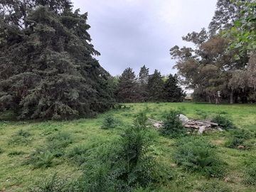 VENTA TERRENO 31.730 m2 GRAL. ROD. R. 24 KM 7.5